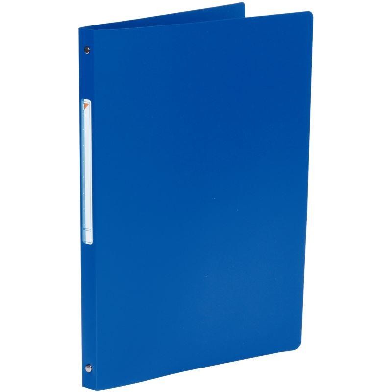 CLAS PP 4ANN D16 A4 BLEU ROI